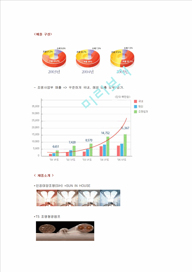 국제마케팅 성공 기업 사례 - FEELUX의 사례와 새로운 전략 제언 레포트   (3 )